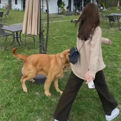 绿色地狱